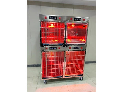 PJDY-03 Temperatura Controlled Veterinary Icu Oxygen Cages