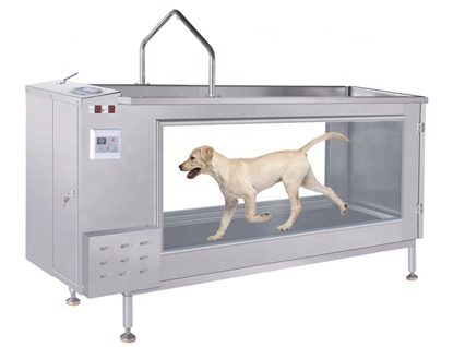 PJ-1901 CE Approved Animal Hydro Under Water Treadmill Para sa Mga Aso