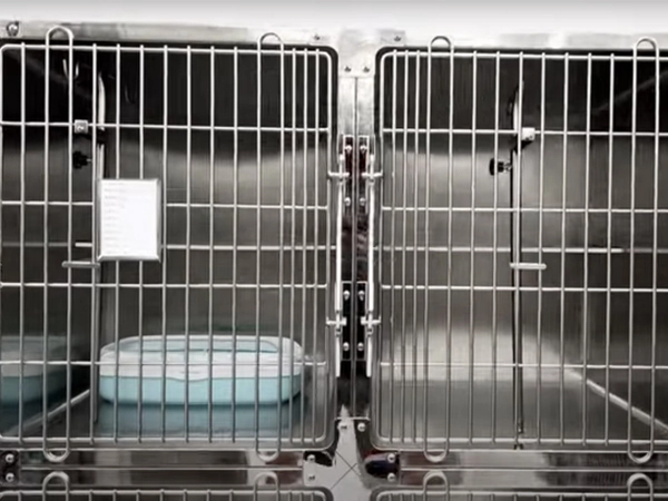 PJML-02 4 Doors Stainless Steel Veterinary Recovery Cat Cage Cage