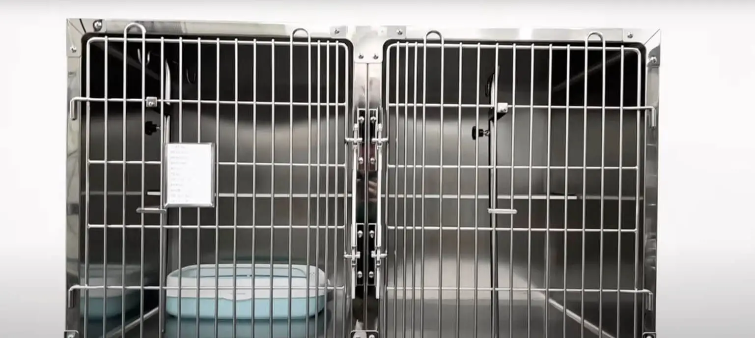 Vet Cat Cage Display Video